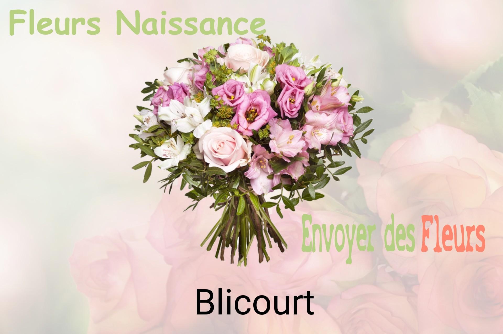 Bouquet de fleurs de naissance livré à Blicourt